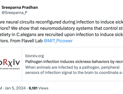 How are neural circuits reconfigured during infection to induce sickness behaviors?